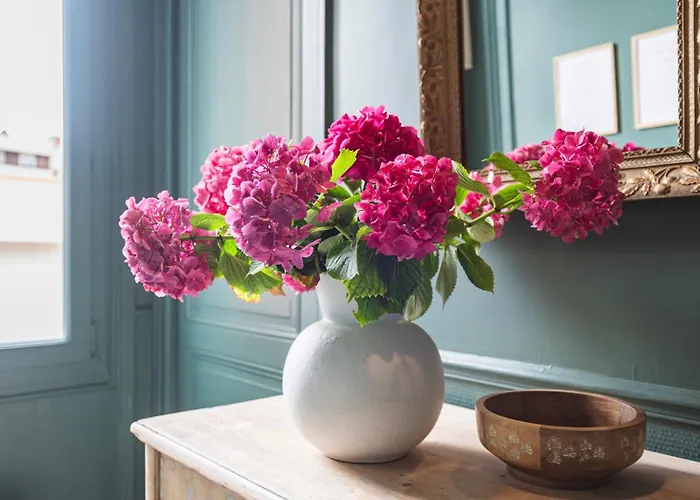 La Fine Bulle, De Charme Au Coeur De Reims